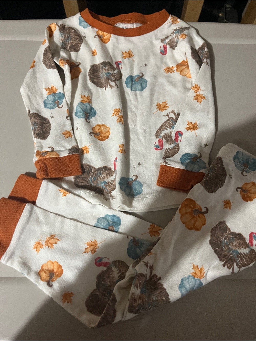 Burt's Bees White Kids Pajama Set with Rust Trim and Autumn Print